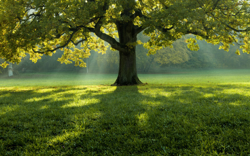 ambiente e sicurezza